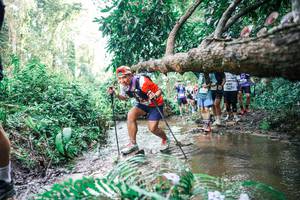 BIB: 
                            <button type="button" onclick="openModal(25476039)" class="btn btn-primary btn-sm float-right btn-popup" data-toggle="modal" data-target=".modal-high-quality">
                        <i class="fas fa-shopping-cart"></i> Add to Cart
                    </button>
                                            <button type="button" onclick="isThisMe(25476039, true)" class="btn btn-success btn-sm float-right btn-popup btn-isme hidden" data-toggle="tooltip" data-placement="bottom" title="นี่คือรูปของคุณใช่ไหม คลิกที่นี่เพื่อเอาเข้าอัลบั้ม">
                        <i class="fas fa-plus"></i> Add to album
                    </button>
                    <button type="button" onclick="isThisMe(25476039, false)" class="btn btn-warning btn-sm float-right btn-popup btn-isnotme hidden">
                        <i class="fas fa-ban"></i> Remove from album
                    </button>